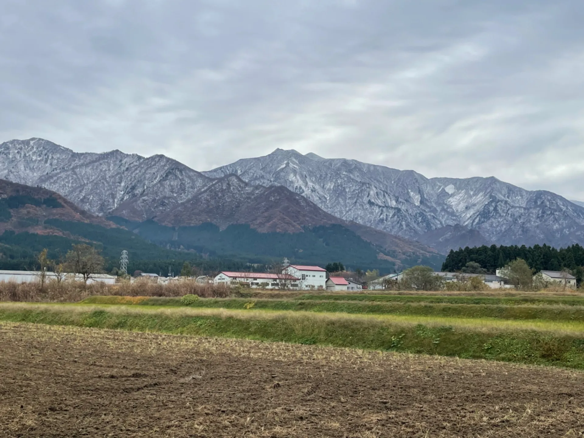 雪が降りました！